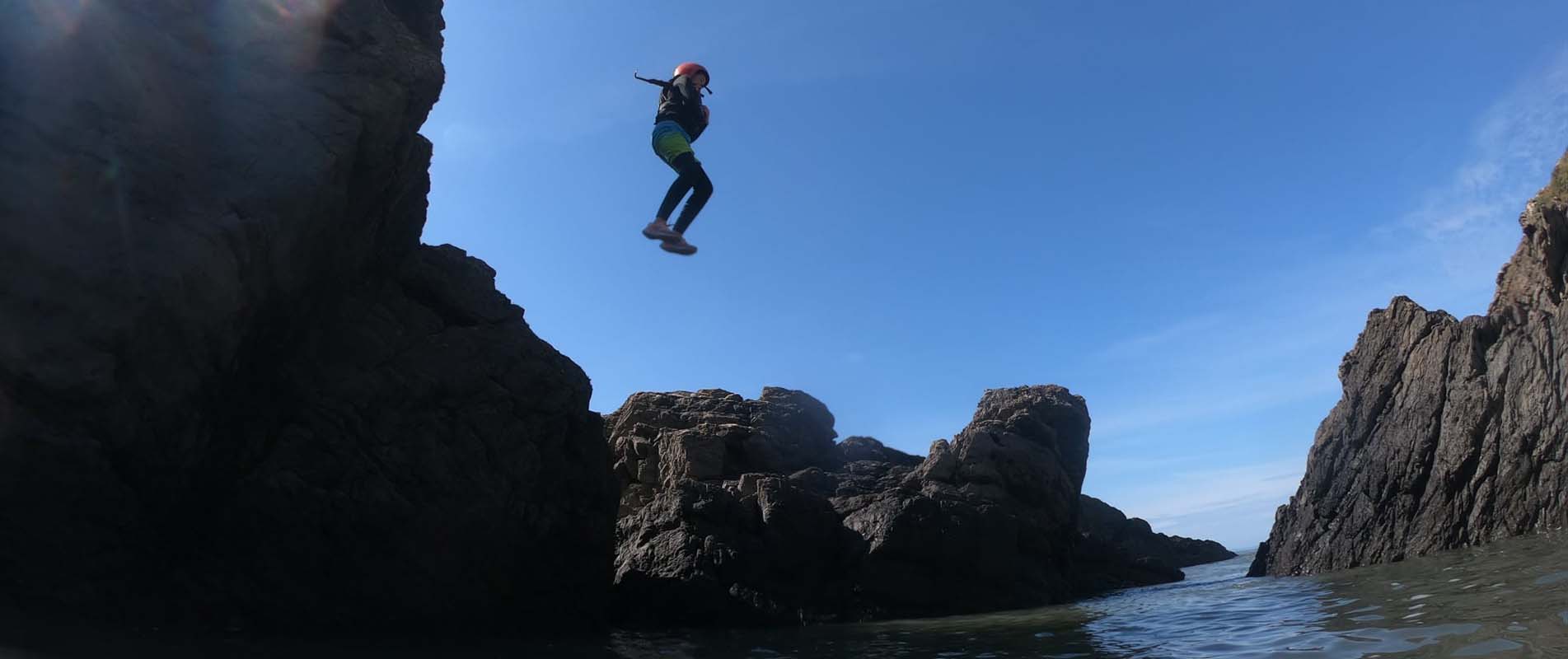 Tree Surgeons Dorking, Reigate, Surrey