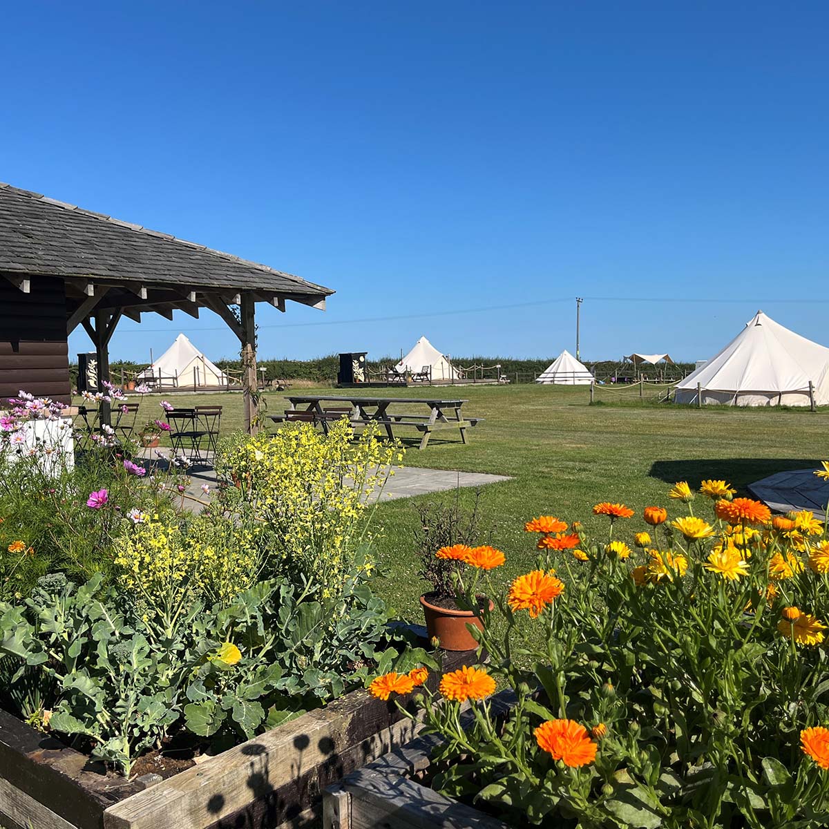 Coasteering Baggy Point, Croyde